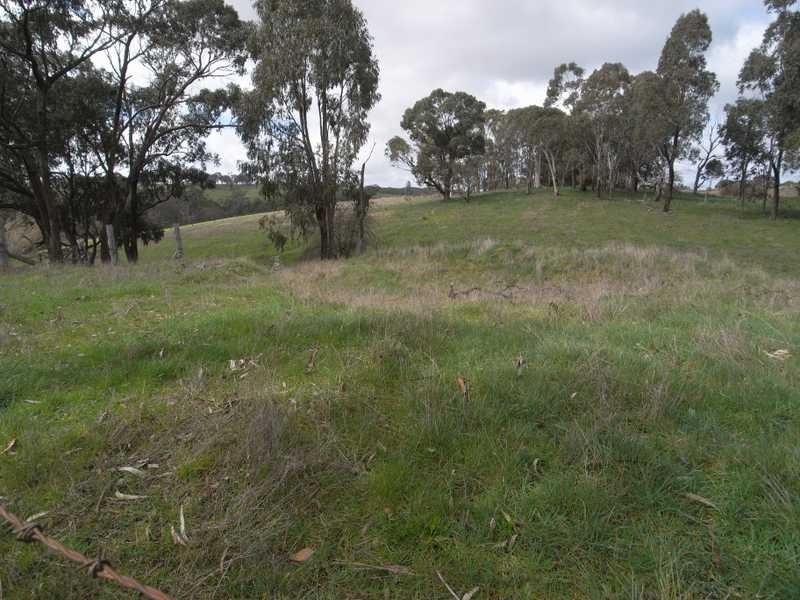 Lot 117 Albury Street, Tumbarumba NSW 2653