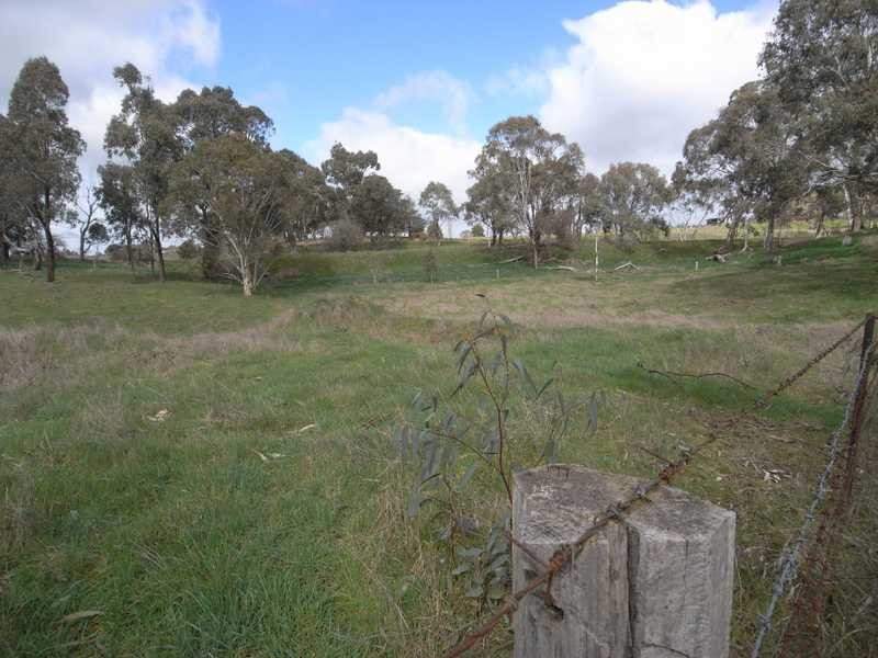 Lot 117 Albury Street, Tumbarumba NSW 2653