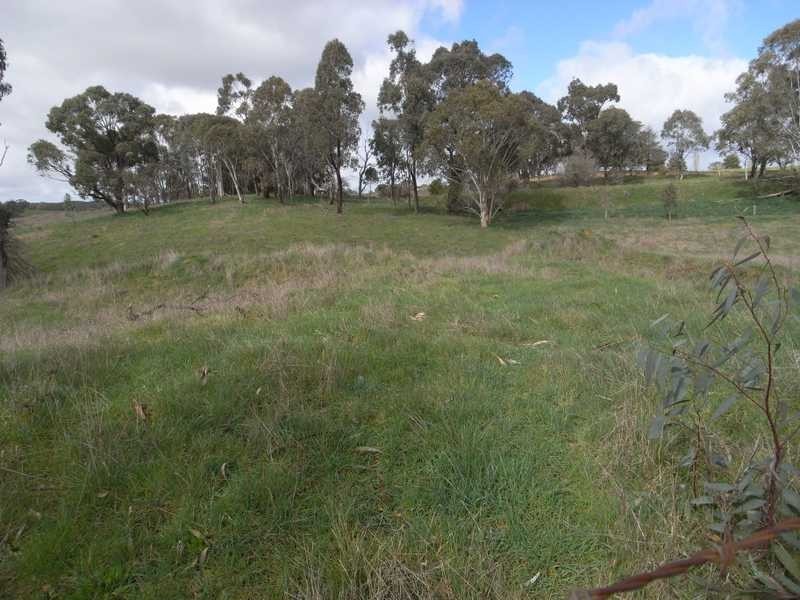 Lot 117 Albury Street, Tumbarumba NSW 2653
