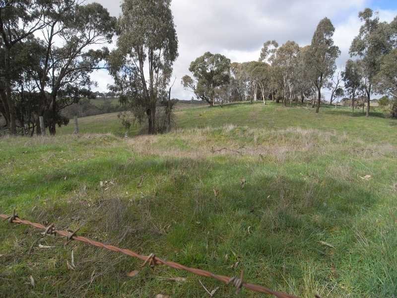Lot 117 Albury Street, Tumbarumba NSW 2653