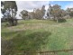 Lot 117 Albury Street, Tumbarumba NSW 2653