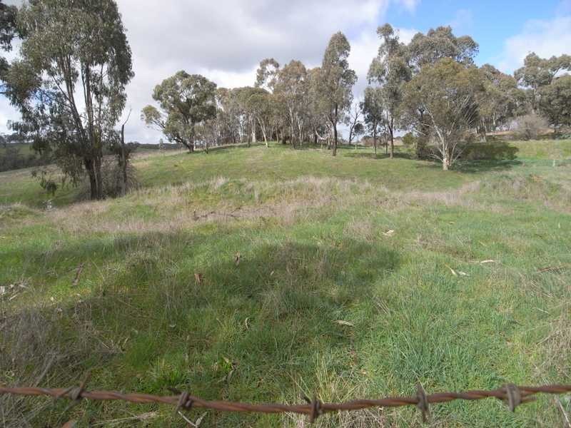 Lot 117 Albury Street, Tumbarumba NSW 2653