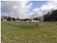 Lots 9 and 10 Wagga Road, Tumbarumba NSW 2653