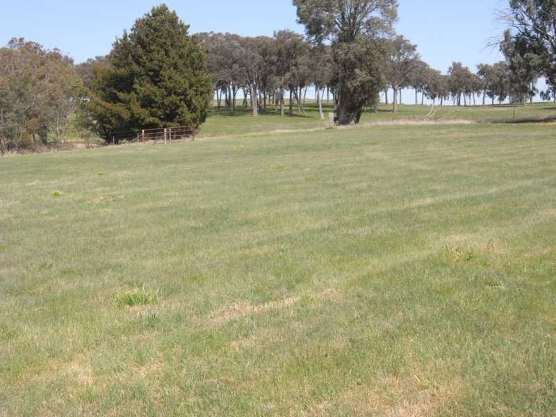 Lot 12 Langland Street, Tumbarumba NSW 2653