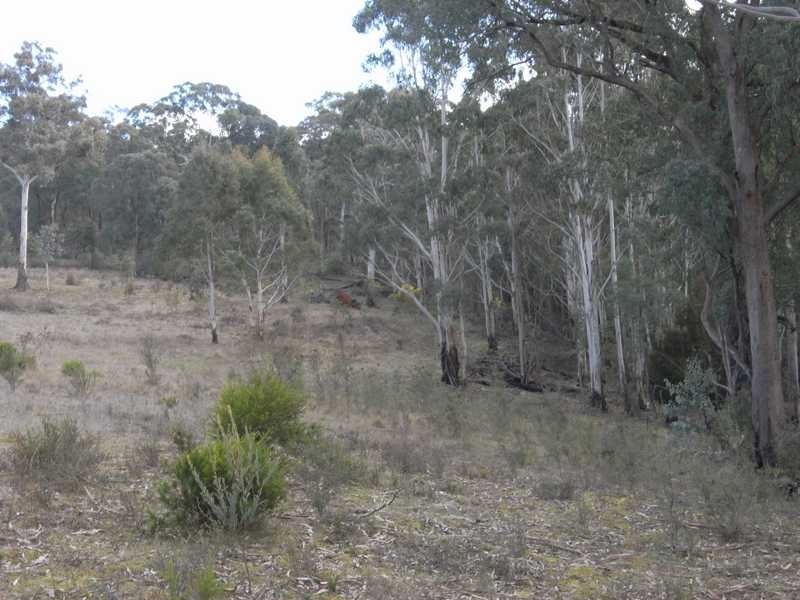 Lot 3 Tooma Road, Tumbarumba NSW 2653