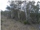 Lot 3 Tooma Road, Tumbarumba NSW 2653