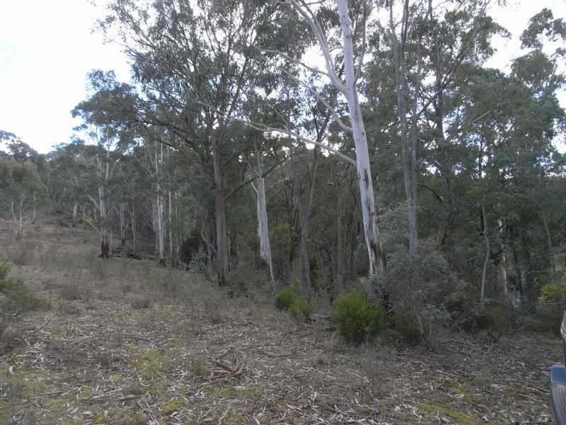 Lot 3 Tooma Road, Tumbarumba NSW 2653