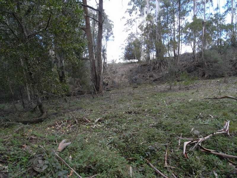 Lot 3 Tooma Road, Tumbarumba NSW 2653
