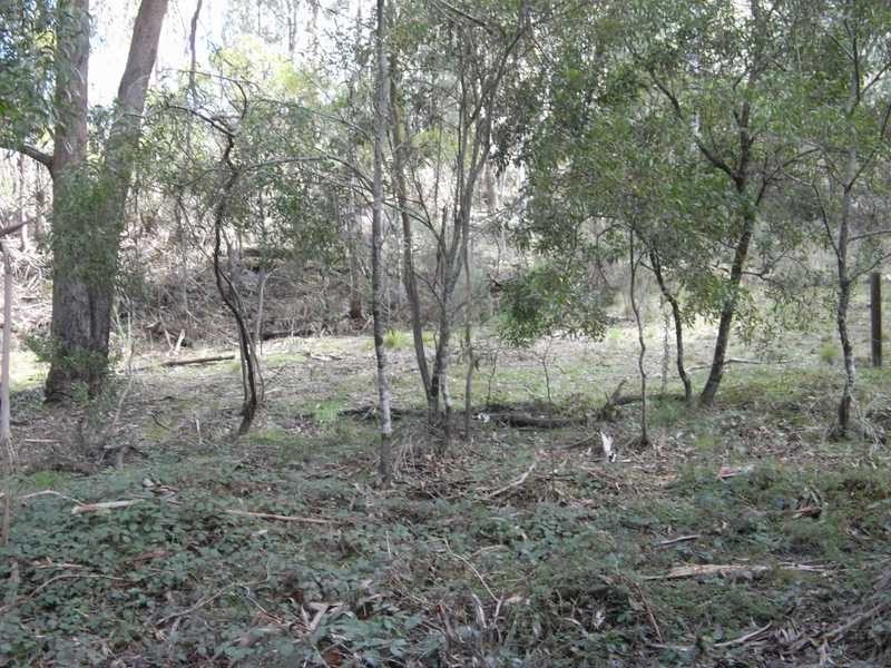 Lot 3 Tooma Road, Tumbarumba NSW 2653