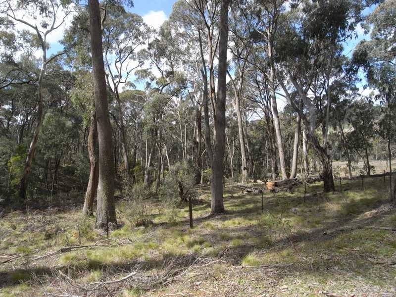 Lot 3 Tooma Road, Tumbarumba NSW 2653