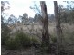 Lot 3 Tooma Road, Tumbarumba NSW 2653