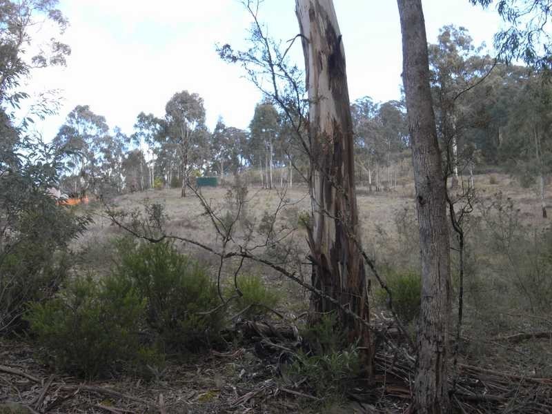 Lot 3 Tooma Road, Tumbarumba NSW 2653