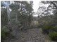 Lot 3 Tooma Road, Tumbarumba NSW 2653