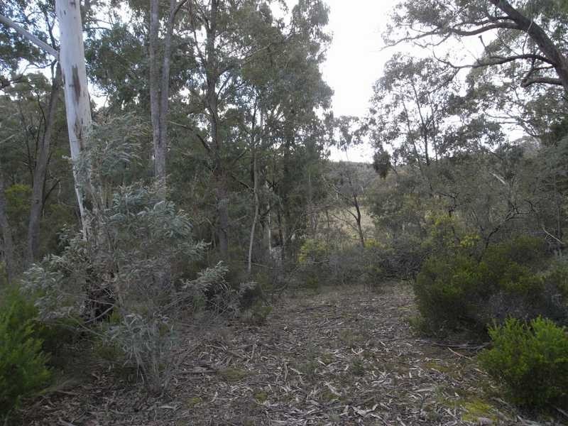 Lot 3 Tooma Road, Tumbarumba NSW 2653