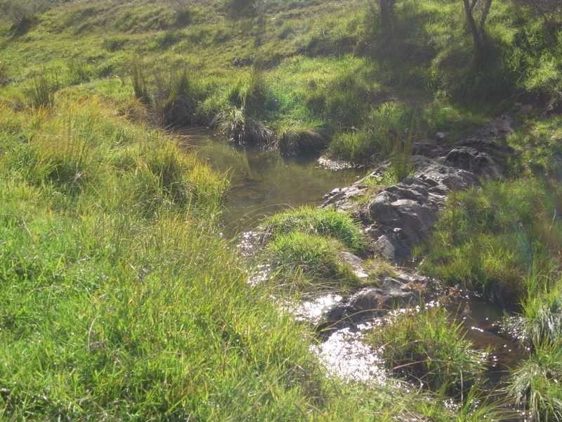 Lot 4 Walteela Road, Tumbarumba NSW 2653