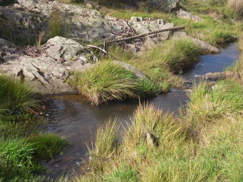 Lot 4 Walteela Road, Tumbarumba NSW 2653