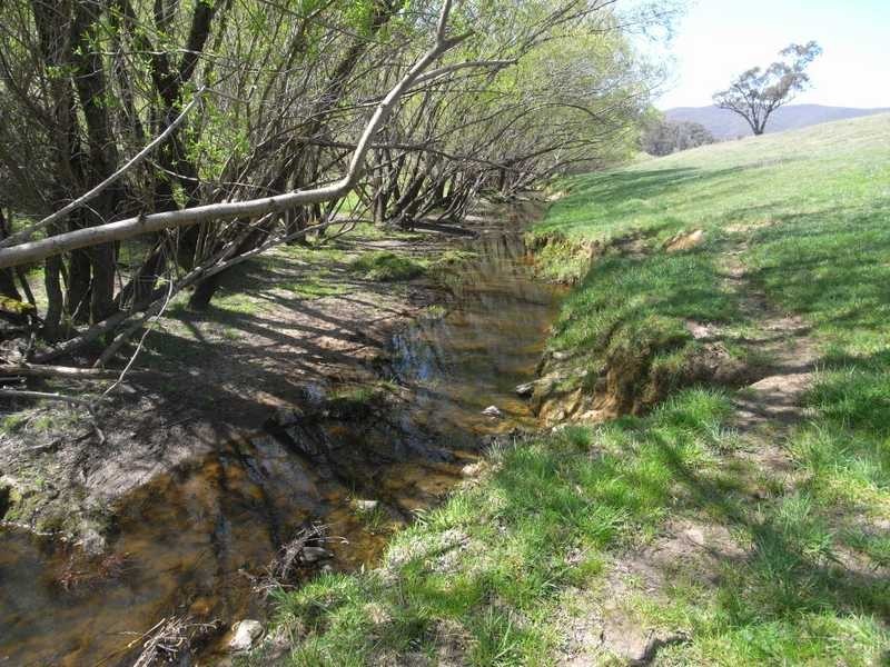 Lot 4 Walteela Road, Tumbarumba NSW 2653