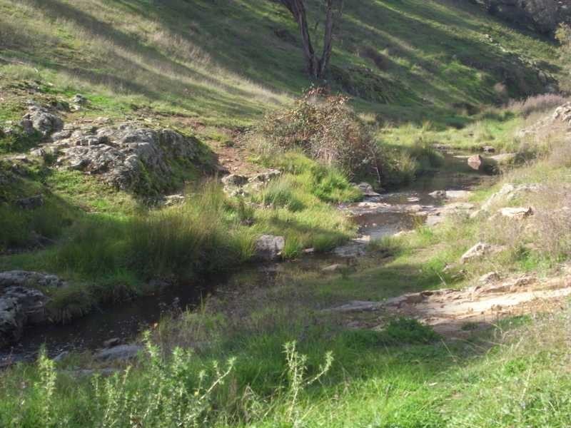 Lot 4 Walteela Road, Tumbarumba NSW 2653