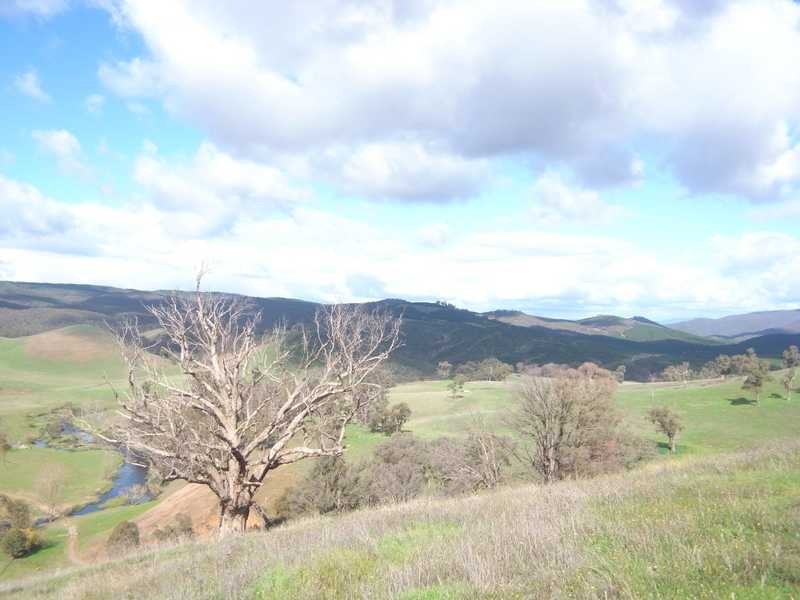 Lot 4 Walteela Road, Tumbarumba NSW 2653