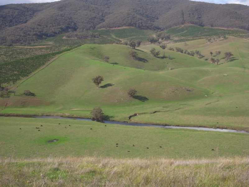 Lot 4 Walteela Road, Tumbarumba NSW 2653