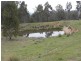 561 Elliott Way, Tumbarumba NSW 2653