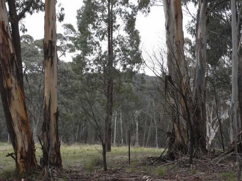 561 Elliott Way, Tumbarumba NSW 2653