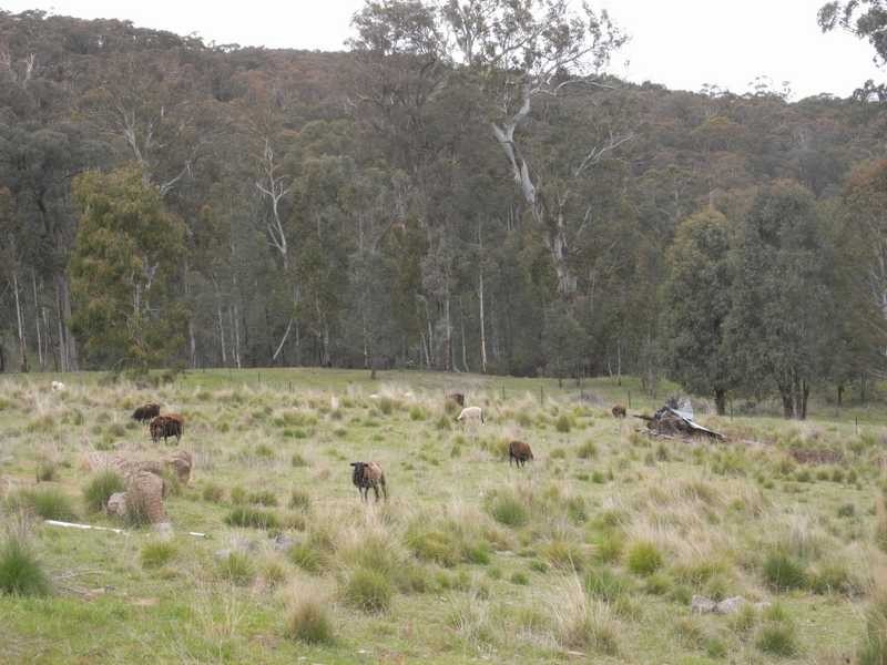 561 Elliott Way, Tumbarumba NSW 2653