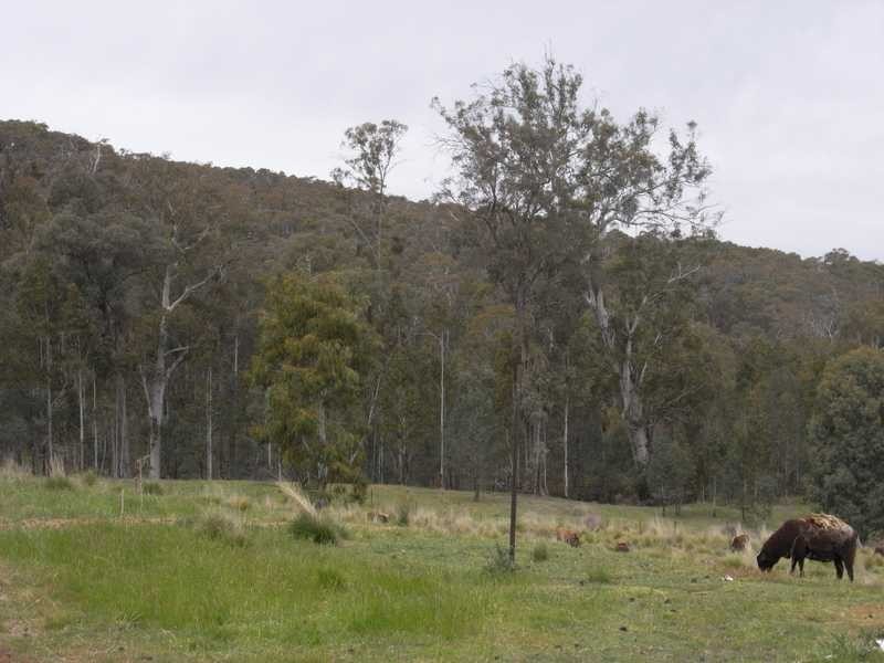 561 Elliott Way, Tumbarumba NSW 2653