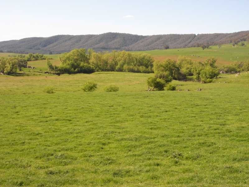 Lot 19 Mannus Creek Road, Tumbarumba NSW 2653