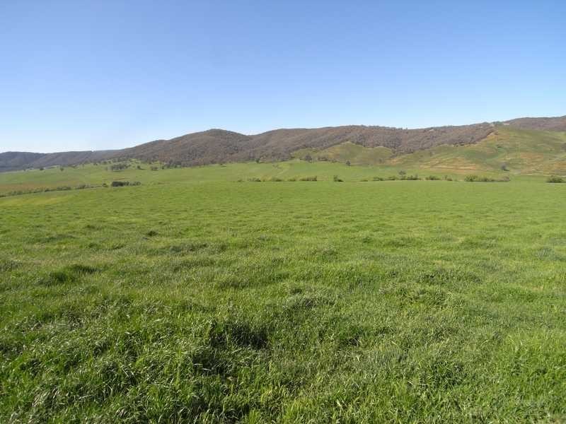 Lot 19 Mannus Creek Road, Tumbarumba NSW 2653