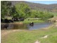Lot 19 Mannus Creek Road, Tumbarumba NSW 2653