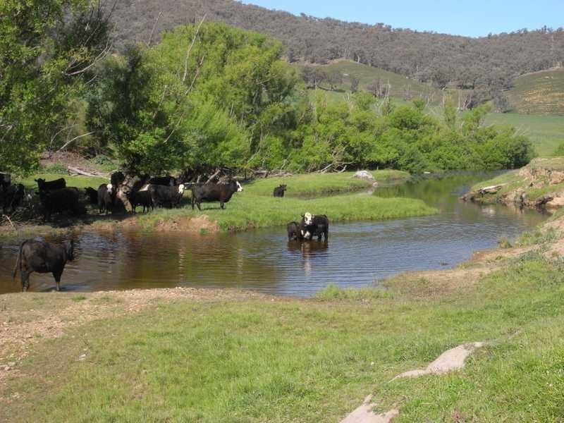 Lot 19 Mannus Creek Road, Tumbarumba NSW 2653