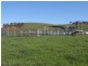 Lot 19 Mannus Creek Road, Tumbarumba NSW 2653