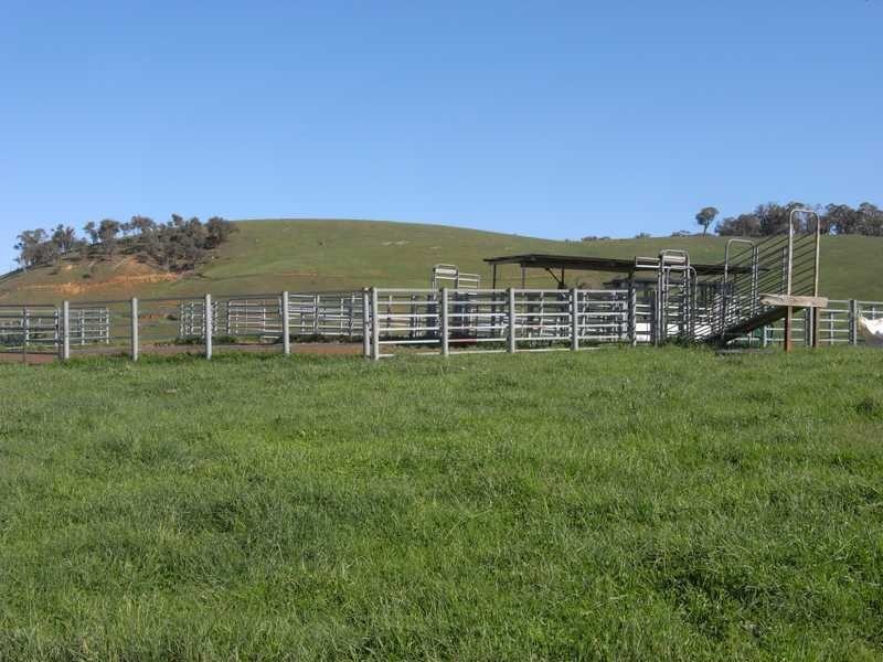 Lot 19 Mannus Creek Road, Tumbarumba NSW 2653