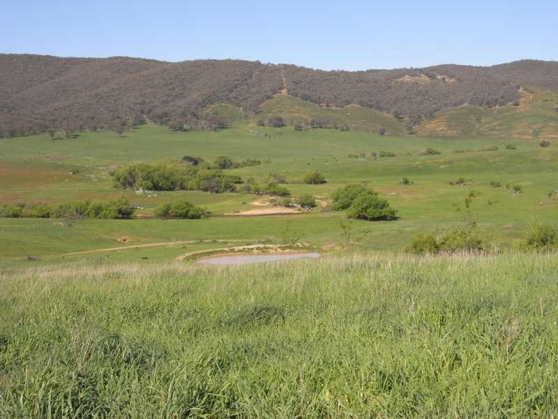 Lot 19 Mannus Creek Road, Tumbarumba NSW 2653