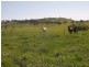 Lot 19 Mannus Creek Road, Tumbarumba NSW 2653