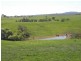 Lot 19 Mannus Creek Road, Tumbarumba NSW 2653