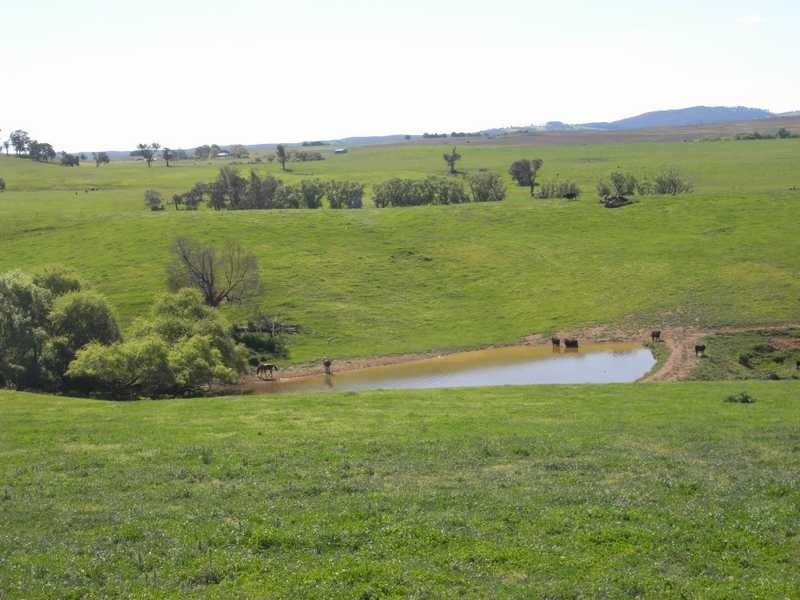Lot 19 Mannus Creek Road, Tumbarumba NSW 2653
