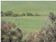 Lot 19 Mannus Creek Road, Tumbarumba NSW 2653