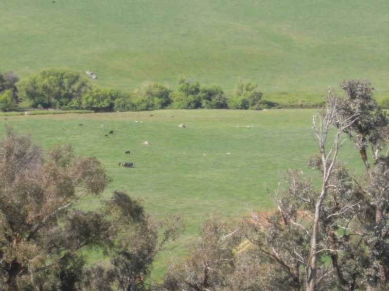 Lot 19 Mannus Creek Road, Tumbarumba NSW 2653