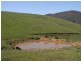 Lot 19 Mannus Creek Road, Tumbarumba NSW 2653
