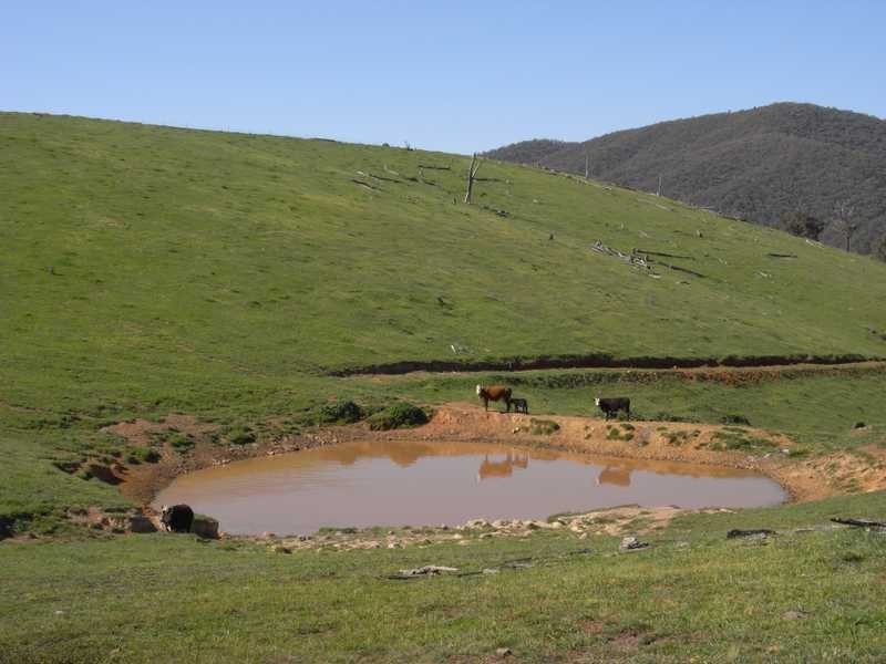 Lot 19 Mannus Creek Road, Tumbarumba NSW 2653