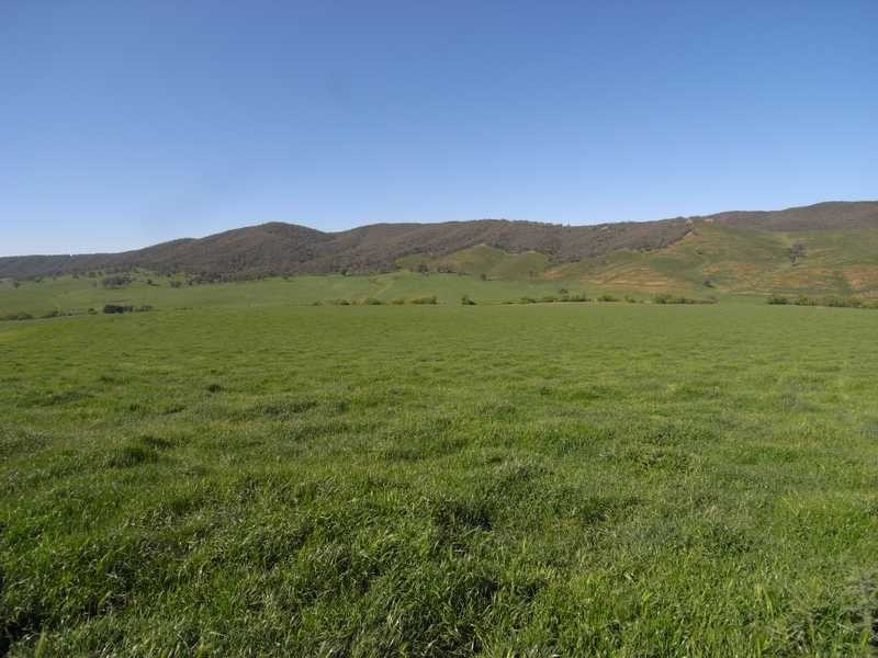 Lot 19 Mannus Creek Road, Tumbarumba NSW 2653