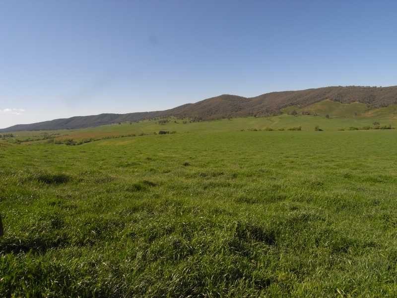 Lot 19 Mannus Creek Road, Tumbarumba NSW 2653