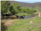 Lot 19 Mannus Creek Road, Tumbarumba NSW 2653