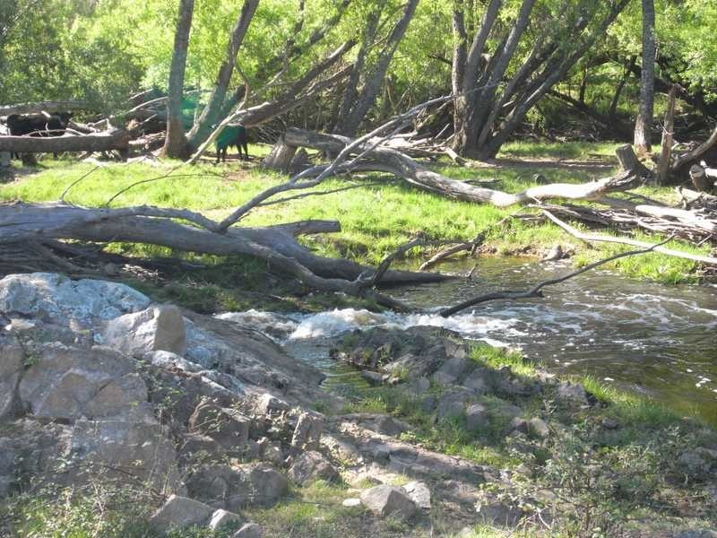 Lot 19 Mannus Creek Road, Tumbarumba NSW 2653