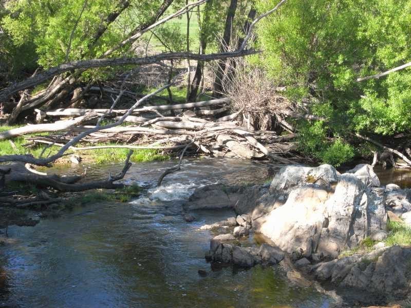 Lot 19 Mannus Creek Road, Tumbarumba NSW 2653