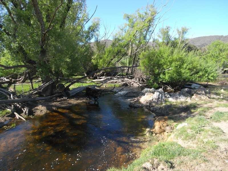 Lot 19 Mannus Creek Road, Tumbarumba NSW 2653