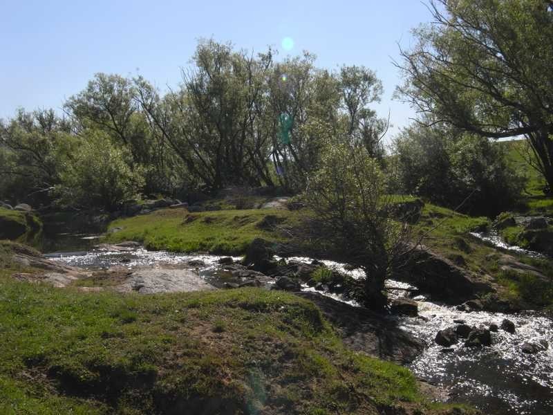 Lot 19 Mannus Creek Road, Tumbarumba NSW 2653