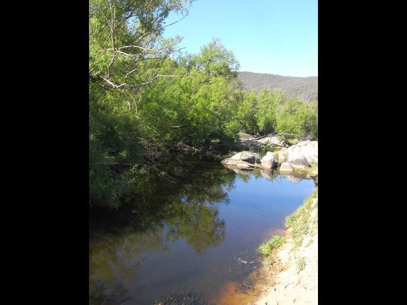 Lot 19 Mannus Creek Road, Tumbarumba NSW 2653